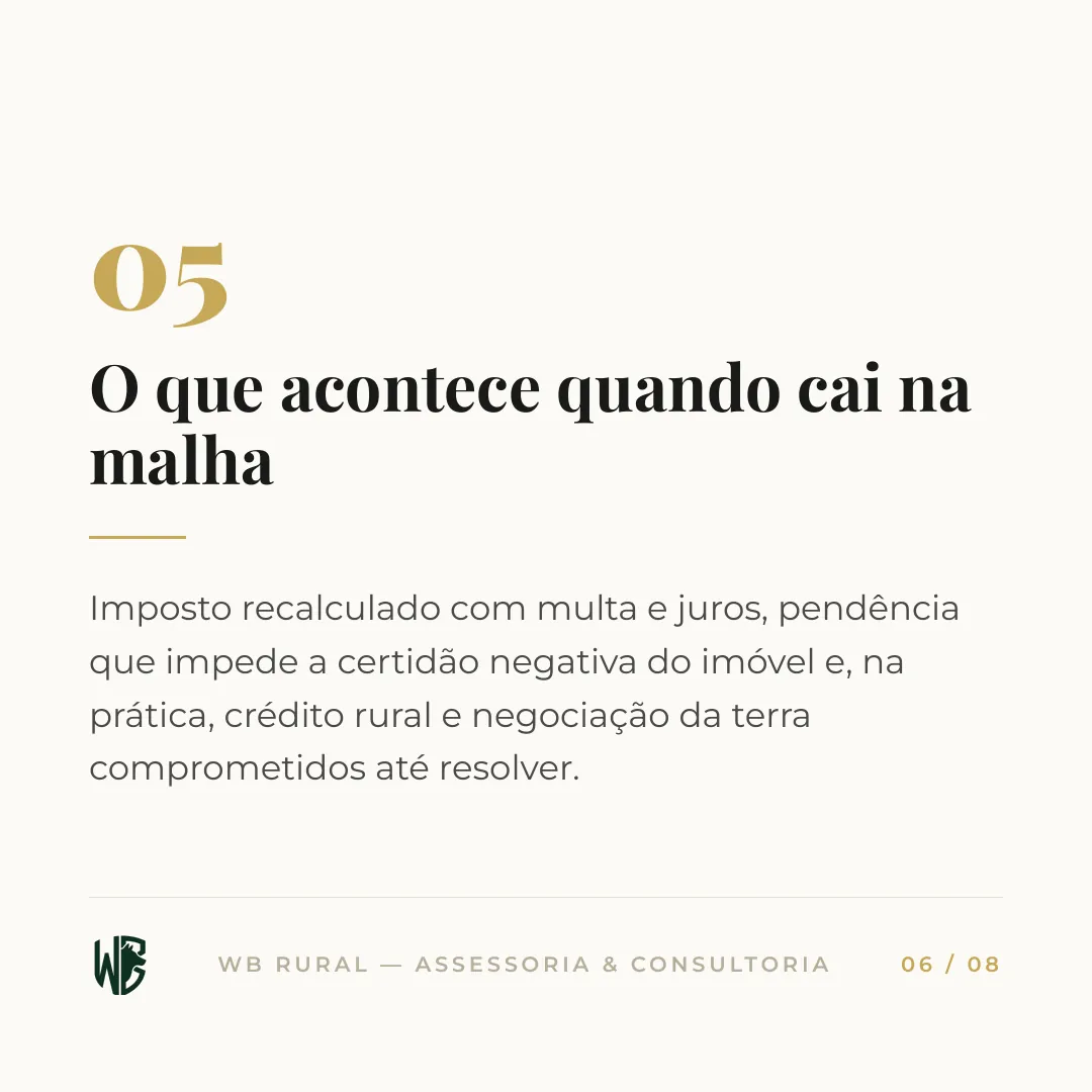 Malha fina do ITR: por que tanto produtor cai — slide 6