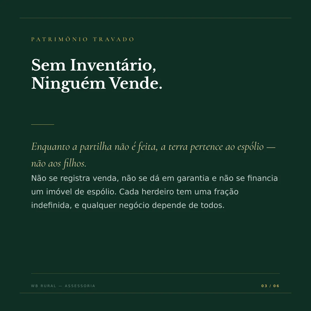 Herdou a Terra? Ainda Pode Não Ser Sua. — slide 3